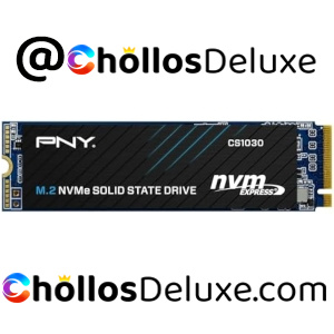 PNY CS1030 SSD 250GB