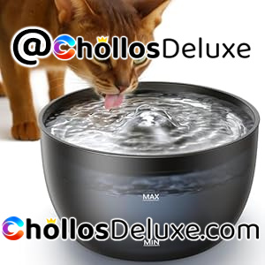 Feelneedy Fuente Gatos 3L Acero LED