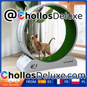 Rueda De Ejercicio Para Gatos