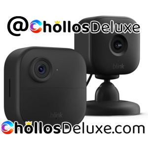Blink Outdoor 4 +Blink Mini 2