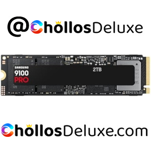 Samsung 9100 PRO SSD Interna 2TB