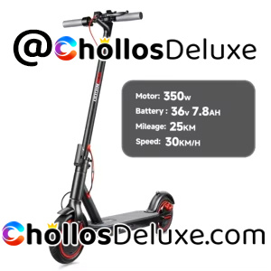 Sunnigoo N7PRO Patinete Eléctrico 350W