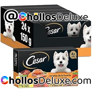Cesar Comida Húmeda Recetas de la Huerta – Multipack 24 Tarrinas 150g