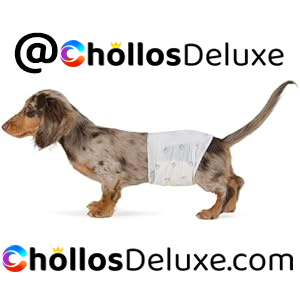 Amazon Basics Pañales Desechables para Perros Macho Talla S – Pack 30