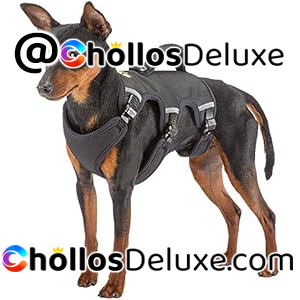 Ferplast Ergotrekking Small Arnés para Perro Pequeño – Antiescape, Acolchado y Reflectante