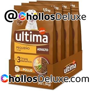 Ultima Pequeño Adult Pollo – Pienso para Perros Adultos Pequeños, 6 kg (Pack 4 x 1,5 kg)