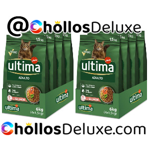 8x Ultima Adult Salmón Comida Gatos 1.5Kg