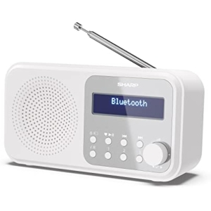 Sharp DR-P420 Radio Digital Bluetooth
