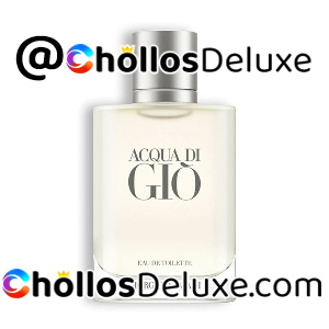 Giorgio Armani Acqua Di Gio Eau De Toilette para hombre 100ml