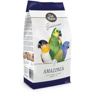 Birdelicious Loros Amazona