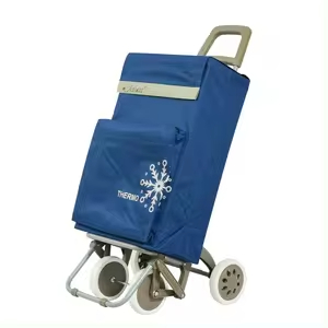 Carrito Compra Plegable 4 Ruedas