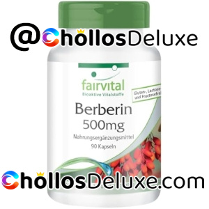 Fairvital Berberina 500mg + Zinc 90 Cápsulas
