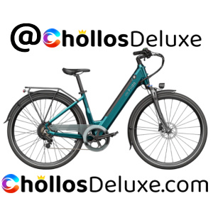 Fiido C11 Bicicleta Eléctrica Urbana