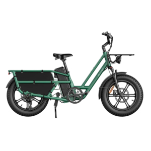 Fiido T2 20" Longtail E-Bike