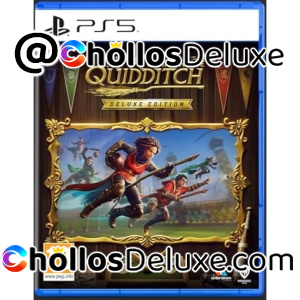 Harry Potter Campeones Quidditch Deluxe
