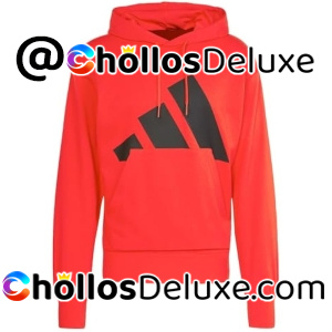 Adidas Essentials Big Logo Hoodie