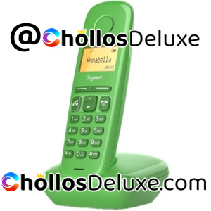 Gigaset A170 Teléfono Inalámbrico DECT