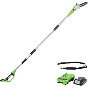 Greenworks G24PS20K2 Sierra Telescópica 24V