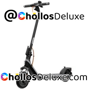 Segway Ninebot E2 Plus II Patinete Eléctrico
