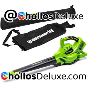 Greenworks GD24X2BV Soplador Aspirador 48V