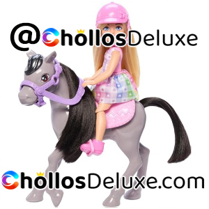 Mattel Barbie Chelsea Poni Muñeca Accesorios