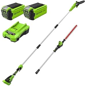 Greenworks GD40PSHK2x Sierra +Cortasetos 40V