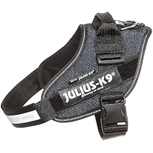 Julius-K9 IDC Power Arnés L/1