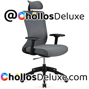 Amazon Basics Silla Oficina Ergonómica Gris