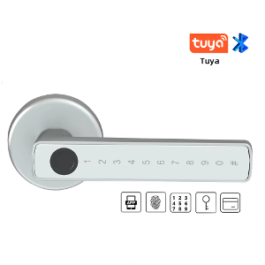 RAYKUBE M5 Cerradura Inteligente Huella