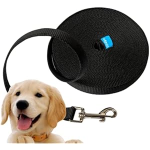 Edipets Correa Perro 5 Metros Nylon Resistente