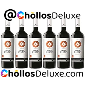 6x Miguel Torres Santa Digna Carmenere 75cl