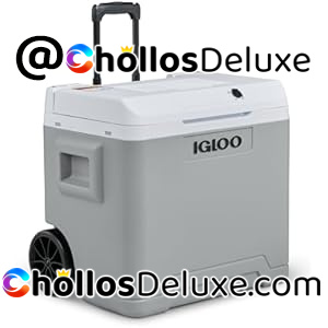 Igloo IE42 Nevera Eléctrica 42L Portátil