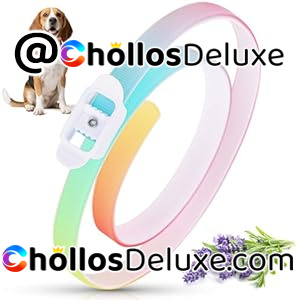 Collar Perros Antiparasitarios