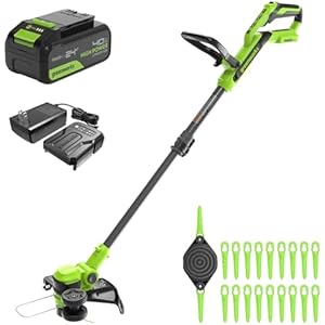 Greenworks Desbrozadora 24V +Batería