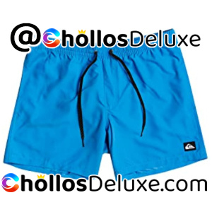 Quiksilver Everyday 13" Short Natación