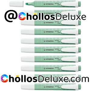 Stabilo Swing Cool Pastel 10 Marcadores