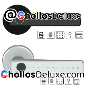 Raykube M5 Cerradura Inteligente Huella