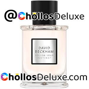 David Beckham Follow Your Instinct EDP 50ml