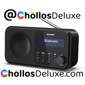 Sharp DR-P420 Radio Digital DAB+