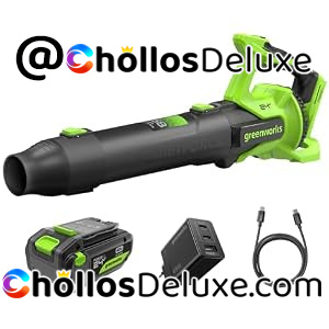 Greenworks 24V Premium Brushless Soplador