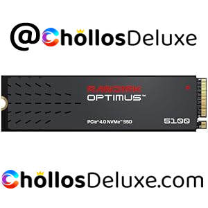 Sandisk Optimus 5100 SSD NVMe 500GB