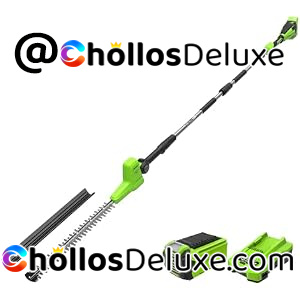Greenworks 40V Cortasetos Pértiga +Batería