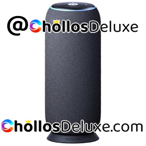 Altavoz Motorola Moto Sound Flow 30W