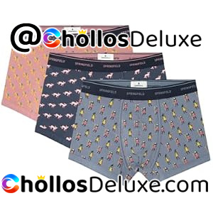 3x Springfield Boxers Hombre Egypt
