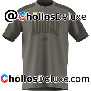 Camiseta Adidas Collegiate Hombre Algodón