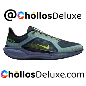 Zapatillas Nike Pegasus 41 GTX