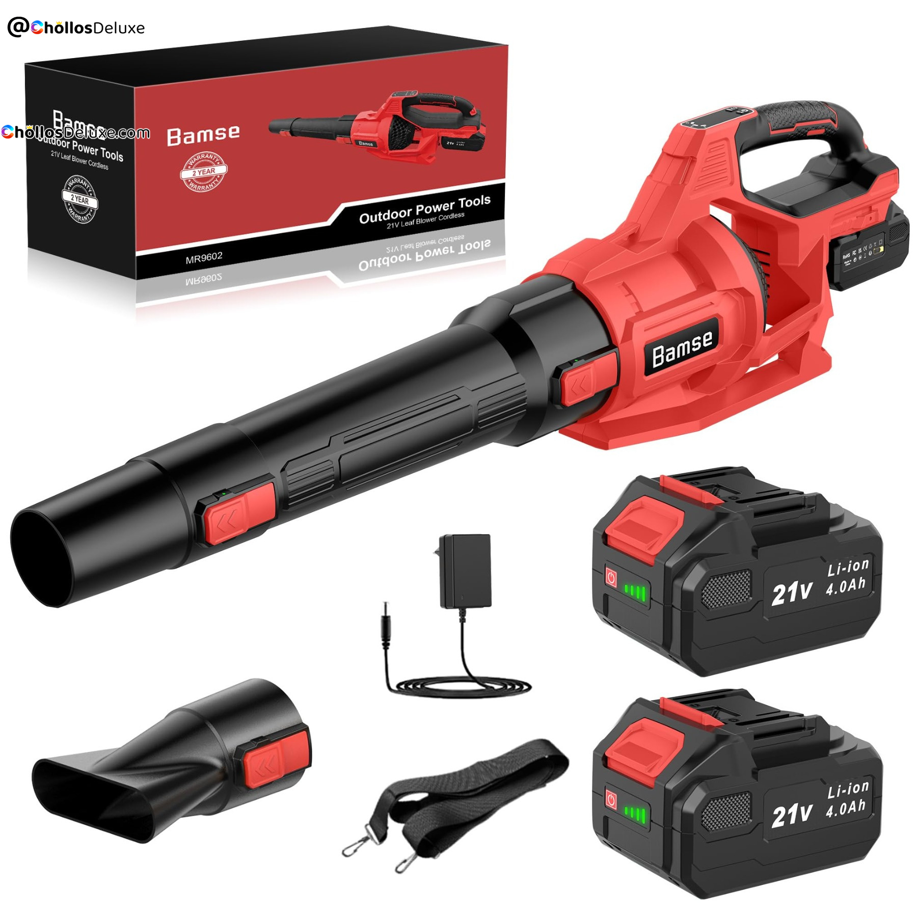Soplador de Hojas 21V con 2 Baterías