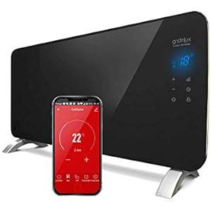 Versión de 2000W