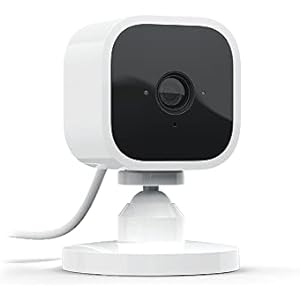 Blink Mini